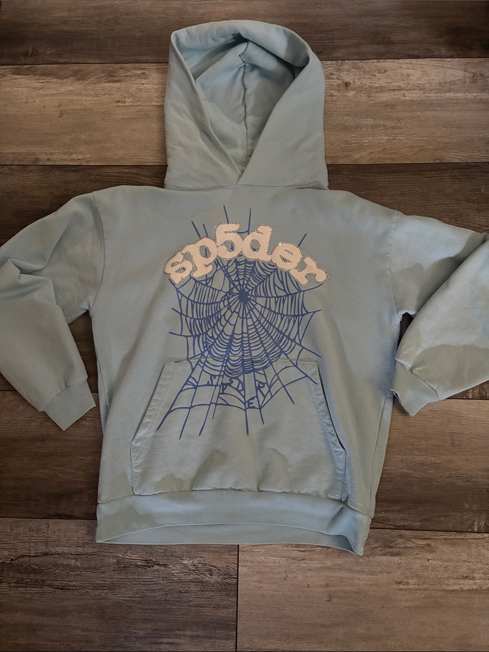Light Blue Hoodie with Spider Web Graphic